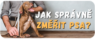 Návod jak správně změřit psa