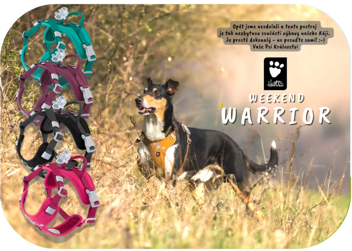 Postroj Hurtta Warrior II krátkosrstá kolie Kai Sky Gopo Psikralovstvi