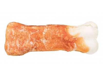 dentafun kost obalena masem pro psa