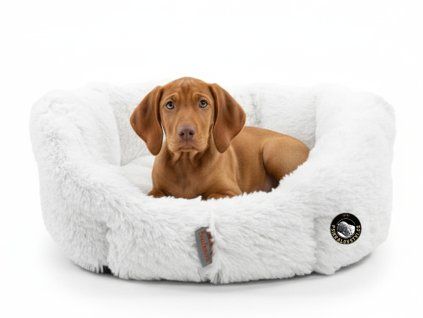 ruby pelech bily vizsla