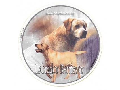 Samolepka Labradorský Retrívr III