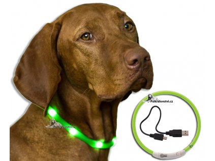 Obojek světelný DOG FANTASY USB dobíjení, nylon 500m Zelený 65cm