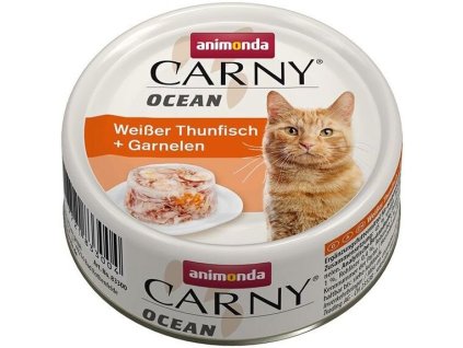 carny ocean tunak racci