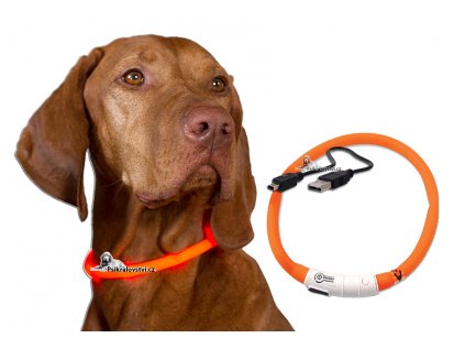 Obojek světelný DOG FANTASY USB dobíjení, nylon 500m Oranžový 45cm