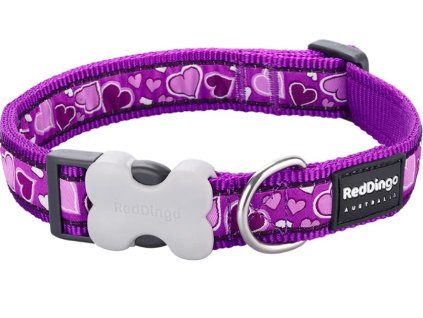 obojek red dingo breezy love purple