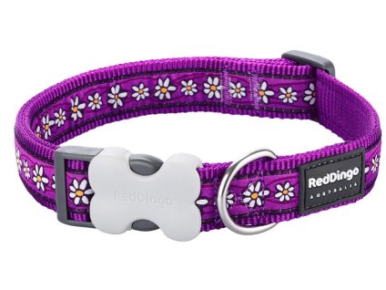 obojek red dingo daisy chain purple