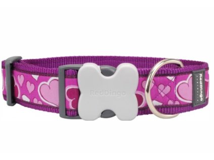 obojek siroky red dingo breezy love purple pes