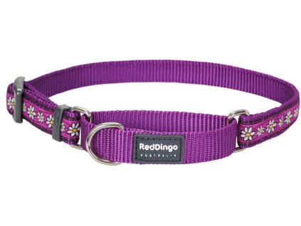 obojek red dingo pro psa daisy purple fialovy