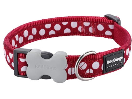 obojek red dingo white spots on red
