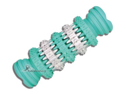 Dentální Kost s mátou, hračka pro psy, zeleno/bílá 11cm