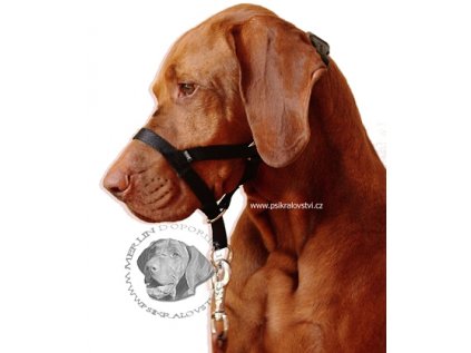 Ohlávka proti táhnutí nylonová pro psa  L 31cm
