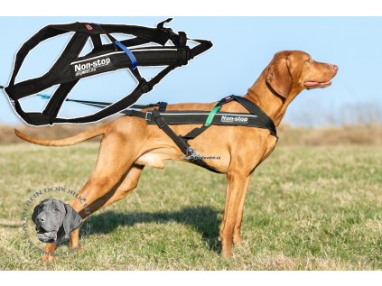 Postroj Freemotion Non-stop Dogwear