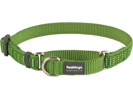 Obojek Red Dingo polostahovací pro psa 26-40cm/15mm Lotzadotz Green