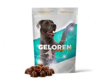 geloren dog xl kloubni vyziva pro psa