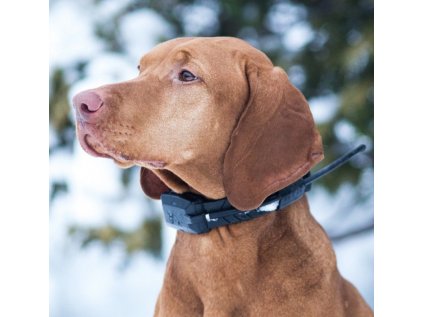 Vyhledávací zařízení pro psy DOG GPS X20
