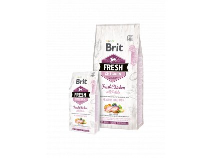 Brit Dog Fresh Chicken&Potato Puppy Healthy Growth 2,5kg