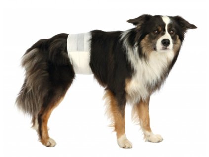 Papírové pleny pro psy 12 ks/bal