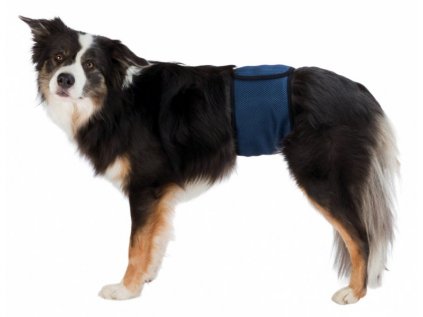 Břišní pás na podložky pro psa s inkontinencí M 45-55 cm