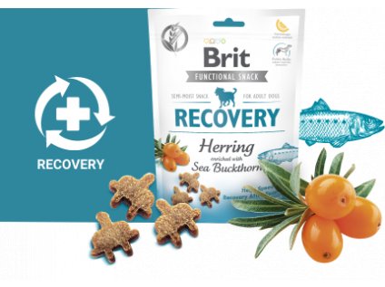 Brit Care Dog Functional Snack Recovery Herring 150g