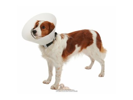 Límec ochranný BUSTER plastový Classic Collar 40cm
