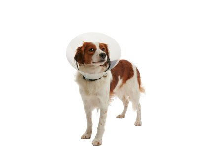 Límec ochranný BUSTER plastový Clic Collar pro psa