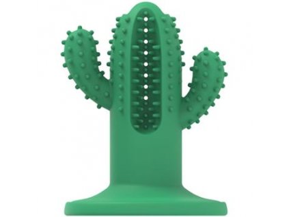 Žvýkací kaktus AFP Dental – Large