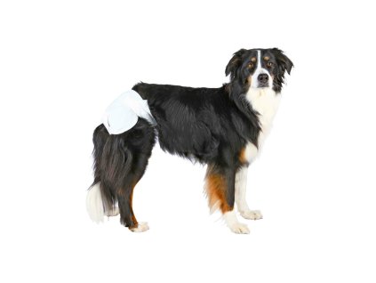 Papírové pleny pro fenu 12 ks/bal