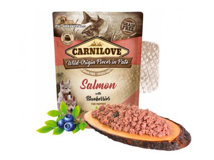 Carnilove Dog Pouch Paté Salmon & Bluebererries Puppies 300g