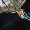 Hurtta adjustable voditko lanove na psa 5