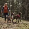 Postroj Y Hurtta Casual ECO černý