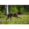 Postroj Freemotion 5.0 Non-stop Dogwear Růžový