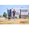 MOVE leash vodítko Non-stop Dogwear Zelená