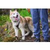 ROCK leash vodítko Non-stop Dogwear Černé 1,8m