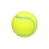 afp tenis tpr mic pro psa