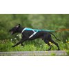 Postroj Freemotion 5.0 Non-stop Dogwear Tyrkys