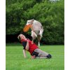 Létající talíř pro psy Dog Activity 23cm