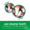 Clean Teeth Gel Kit - gel na čištění zubů pro 118ml
