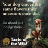 taste of th wild high prairie puppy 4