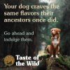 taste of th wild high prairie puppy 4