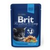 Brit Premium Cat kapsa Chicken Chunks for Kitten 100g Kotě