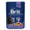 Brit Premium Cat kapsa with Cod Fish 100g