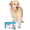 Fypryst Spot-on Dog L sol 1x2,68ml (20-40kg)