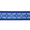 snake eyes blue obojek