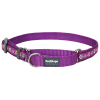 obojek daisy purple polostahovaci red dingo