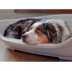 pelech siesta plastovy pes bily 2