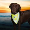 Šátek bezpečnostní reflexní pro psa Žlutý L-XL 43-60cm