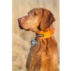 Obojek SAFE Non-stop Dogwear bezpečnostní vel. 40cm