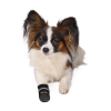 walker care comfort boticky mini pes pro psa trixie