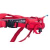 postroj kombi non stop dogwear cerveny behani canicross 4