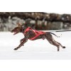 kombinovany postroj cerveny behani canicross non stop dogwear